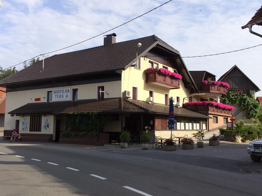 Gostilna Turk Hotel Hotedrsica Esterno foto